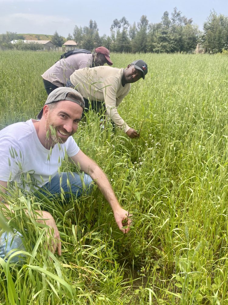 Agroforestry auf den Feldern des Schulgeländes