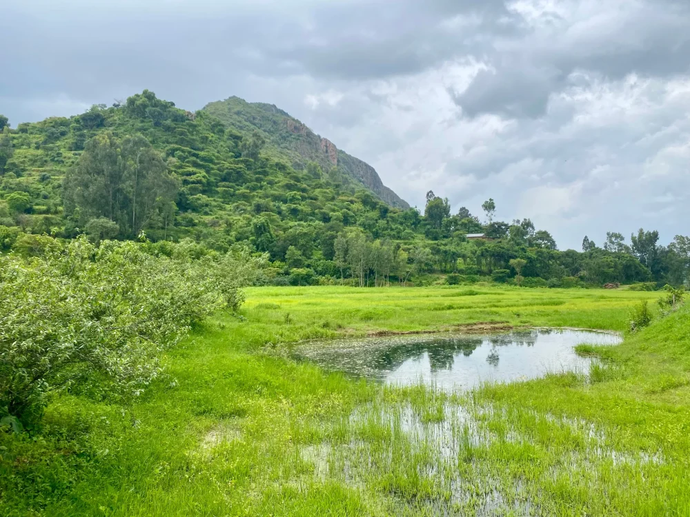 Bild von Tal und Wald in Selam in der Nähe von Axum und Adwa in Äthiopien