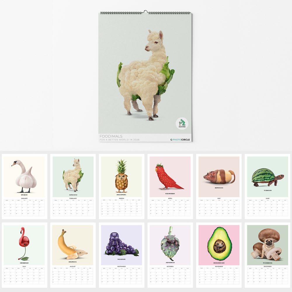Foodimals Square Küchenkalender und Terminplaner für 2026