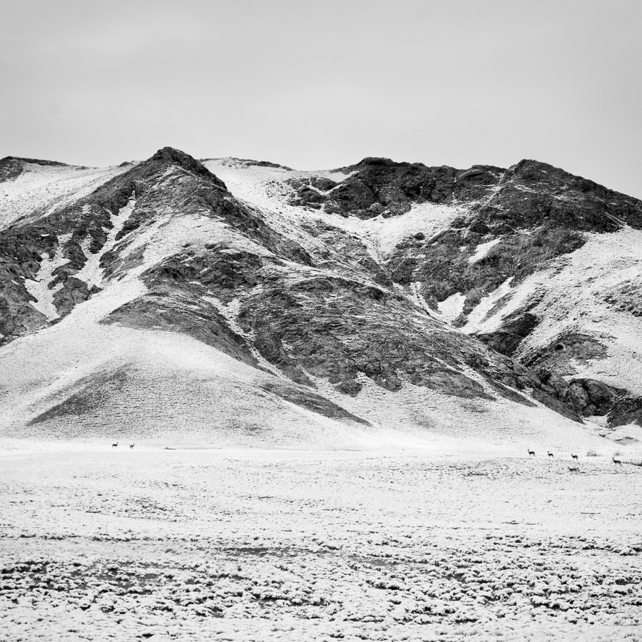 Stephan Opitz: Tibetian Plateau Study 8