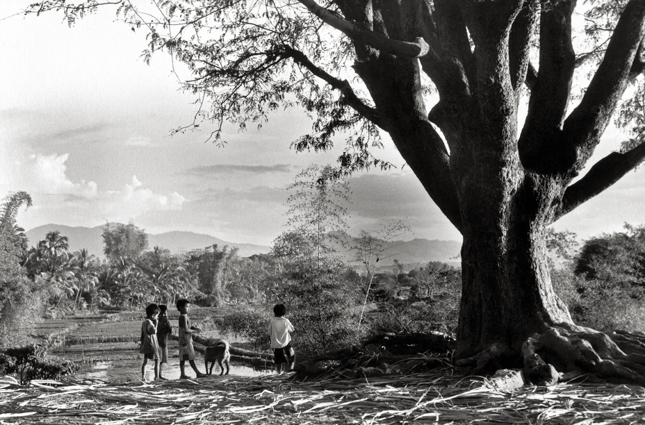 Children at the Big Tree - Central Highland - Vietnam von SILVA WISCHEROPP