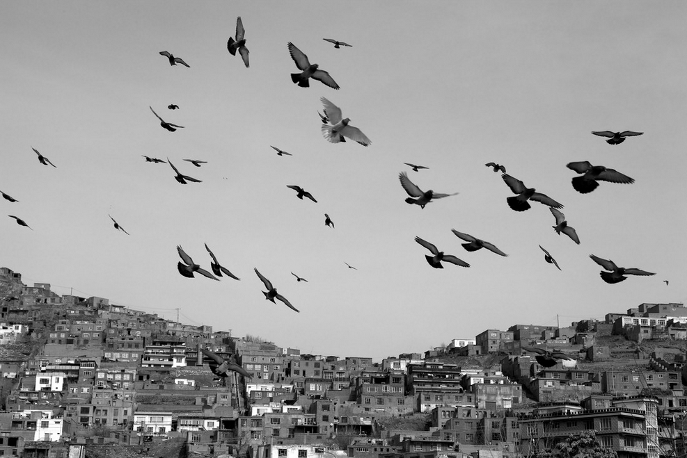 Christina Feldt - Fotokunst aus Kabul