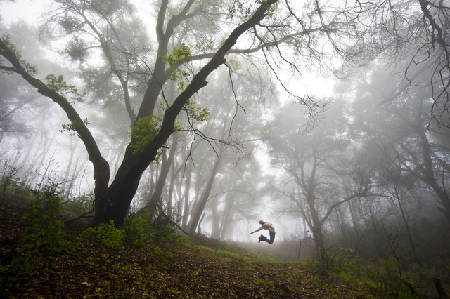 Forêt nationale de Los Padres, Californie, États-Unis par Jakob Berr