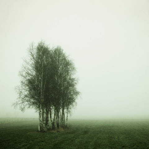 Early Foggy Morning von Manuela Deigert