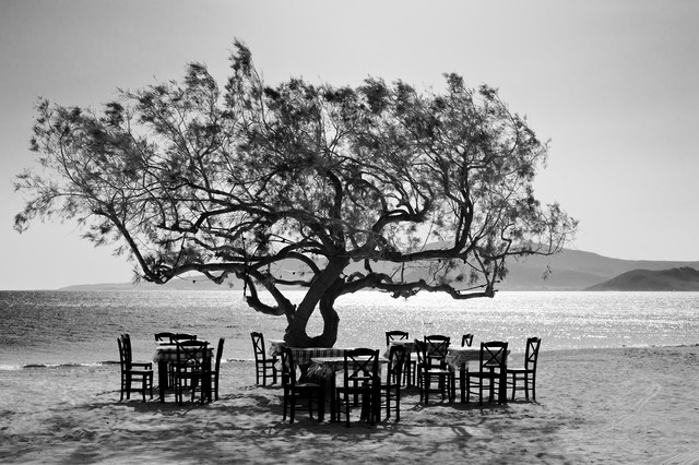 The Tree - Fotokunst von Simon Bode