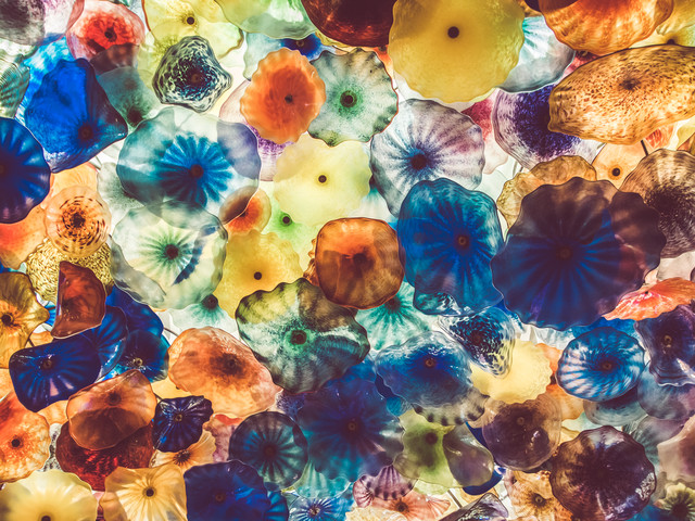 Jellyfish von Martin Röhr