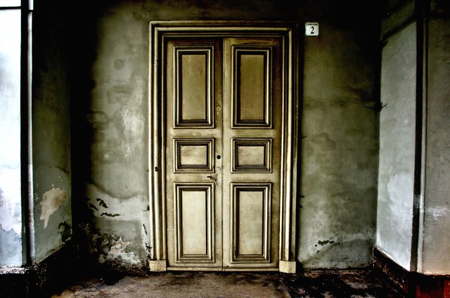 SECRET DOOR von Michael Schaidler