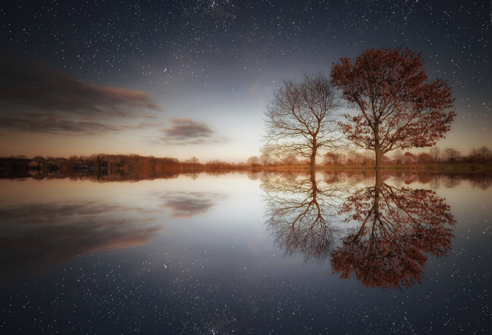 The two trees - Fotokunst von Carsten Meyerdierks